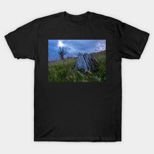 Barren Moorland T-Shirt